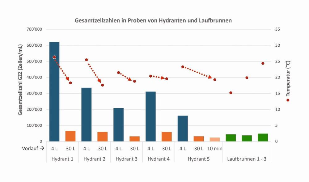 Abb.3: Es ist deutlich erkennbar, dass die gemessenen Gesamtzellzahlen in den Hydranten abhängig sind vom Vorlauf. Die tiefen Zellkonzentrationen aus den Laufbrunnen als Referenz zeigen auf, dass das Wasser in den Hydranten und deren Zuleitungen verkeimt. Dies ist sehr wahrscheinlich auf die Stagnation und die Erwärmung im Sommer zurückzuführen. Die Resultate stammen aus Messungen des Projekts «Relevanz von Legionellen im Verteilnetz», sie wurden durchflusszytometrisch anhand der SVGW MW102 erhoben.